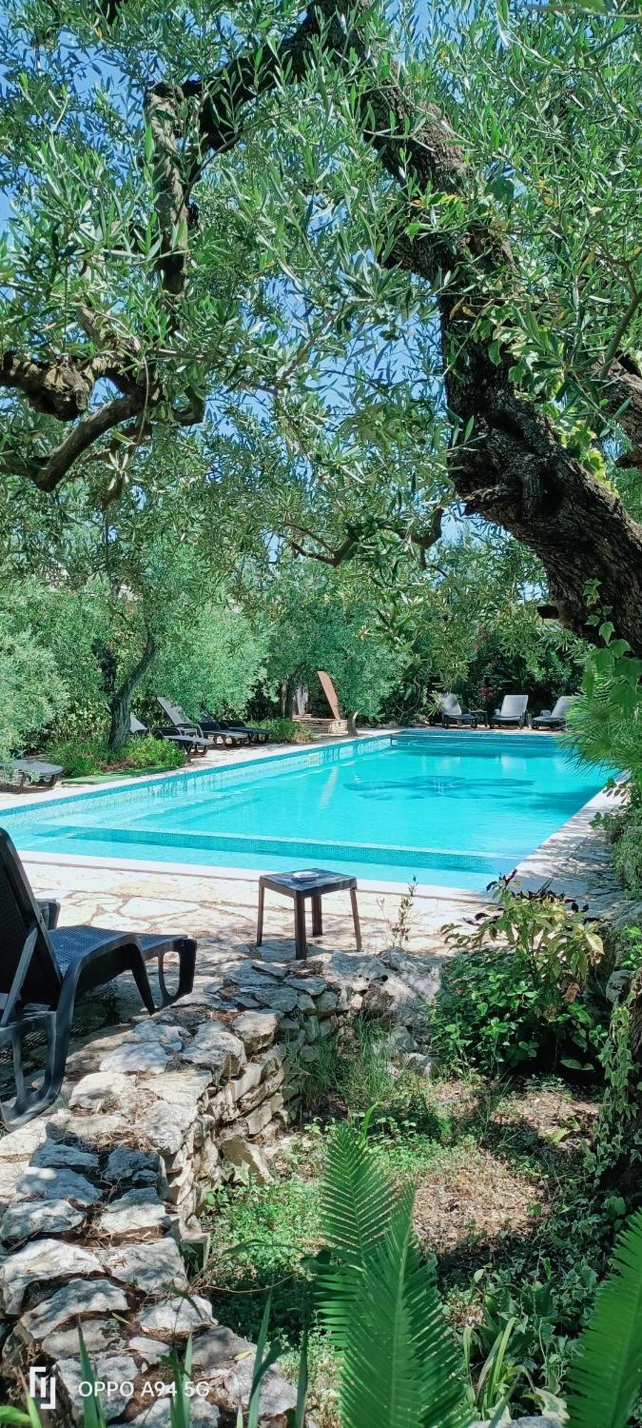 Agriturismo Le Vedute Bisceglie Ngoại thất bức ảnh