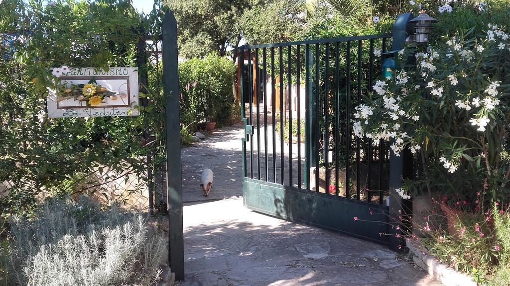 Agriturismo Le Vedute Bisceglie Ngoại thất bức ảnh